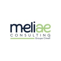 MELIAE CONSULTING Logo