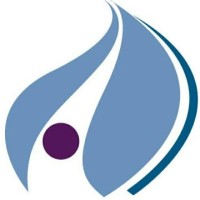 Palo Tinto Networks Logo