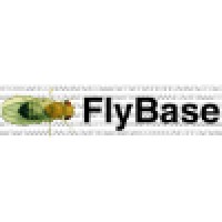 FlyBase Logo