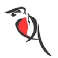 Vishesh Apparels - India Logo