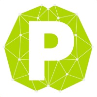 P-Brain Media Logo