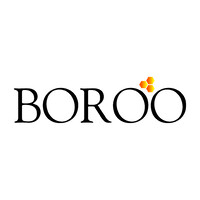 Boroo Pte. Ltd Logo