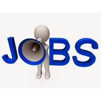 Jobsnu.com Logo