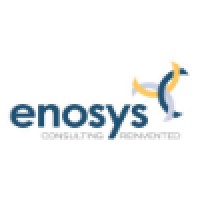 The Enosys Group Logo