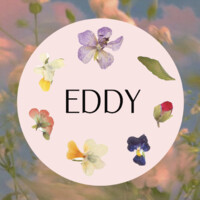 EDDY Logo