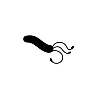 rootkit.es Logo