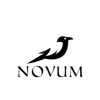 Novum Imaginori Logo