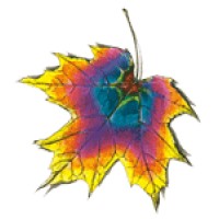 Professional Printing Center Logo