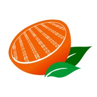 Citrus Technology Group Logo
