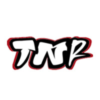 TheNairobiReport Logo