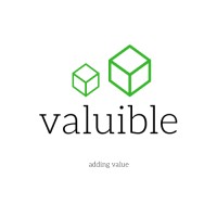Valuible Logo