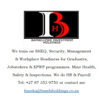 BAMBILIZWE INVESTMENTS HOLDINGS Logo
