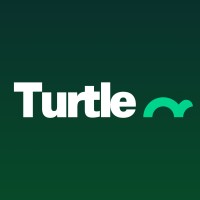 Turtle Logo