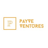 Payve Ventures Logo