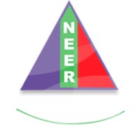 NEER CHEMICALS - India Logo
