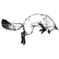 Fox in the Snow Cafes Logo