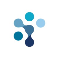 BSS IT Logo