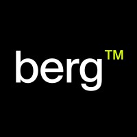 Berg™ Money Logo