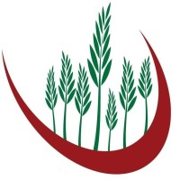 Independent Irish Health Foods Logo