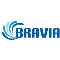 Bravia Techno Solutions Pvt. Ltd. - India Logo