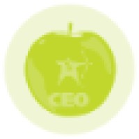 Ceo Business Consulting SC Logo