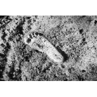 Moonstep - Espace de CoWorking Valenciennes / Marly Logo