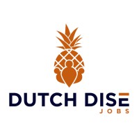 Dutch Dise BV | Recruitment | IT/Sales | Freelance/W&S Logo