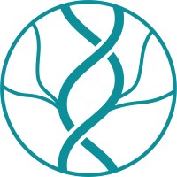 The Life Corner Logo