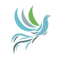 The Carbon Collective Company Logo
