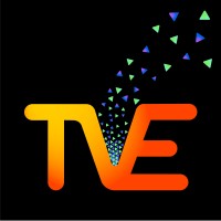 The Value Equation Limited Logo