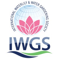 International Waterlily and Water Gardening Society Logo