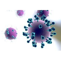 University of Pittsburgh Division of Infectious Diseases Logo