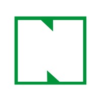 The Next Solution Logo