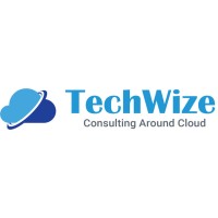 TechWize Logo