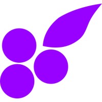 BlackCurrant Logo