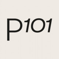 Project101 - Digital Talent School Logo