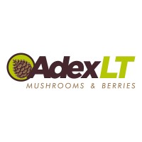 ADEX LT (mushrooms&berries) Logo