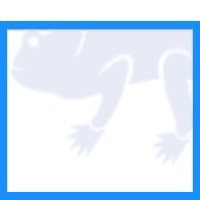 Chameleon Strategic Management GmbH Logo