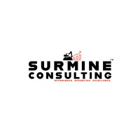 Surmine Consulting Private Limited Logo