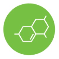 Synthons Research Laboratories Logo