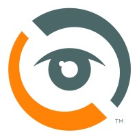 DigiStream Investigations Logo
