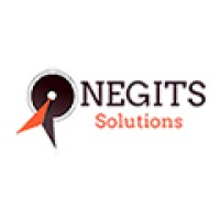 Negits Solutions Logo