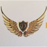Dhillon Aviation - India Logo