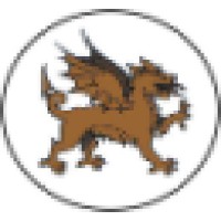 Bronze Dragon International Logo