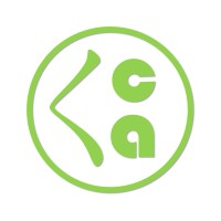 Raina Consulting and Associates Logo