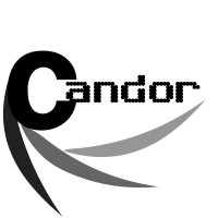Candor Group Inc. Logo