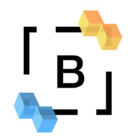 The Bolinger Project Logo
