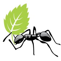 Worker Ants Media Logo