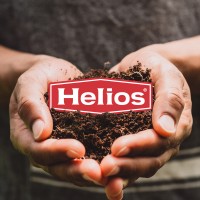 Dulces y Conservas Helios Logo