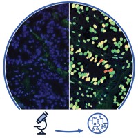 asgen Logo